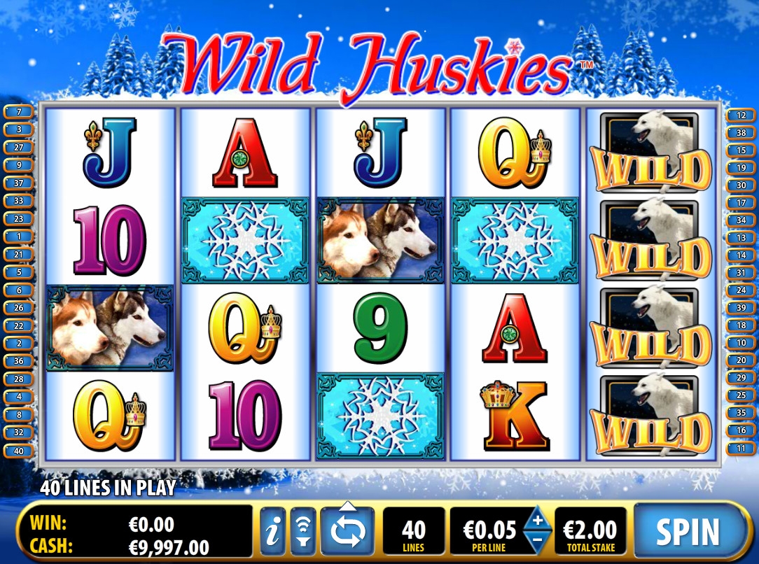 Wild Huskies (Дикие хаски) из раздела Игровые автоматы