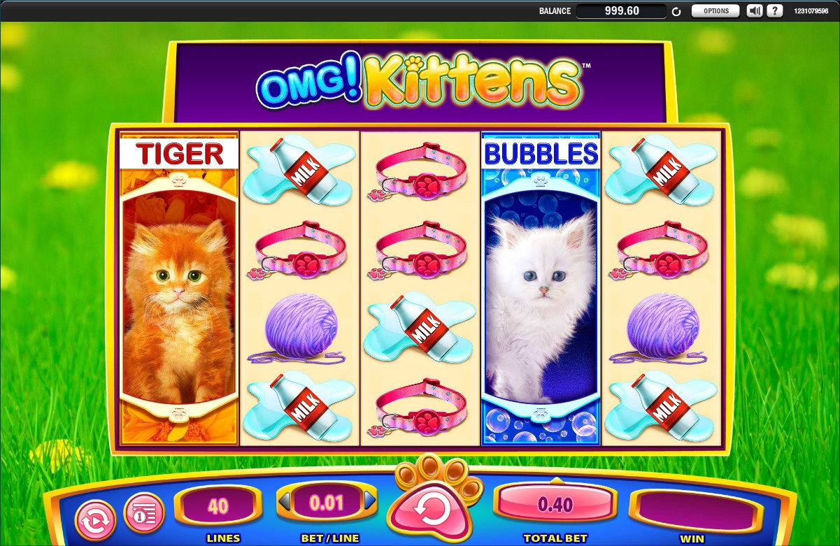 OMG! Kittens (Боже мой! Котята) из раздела Игровые автоматы