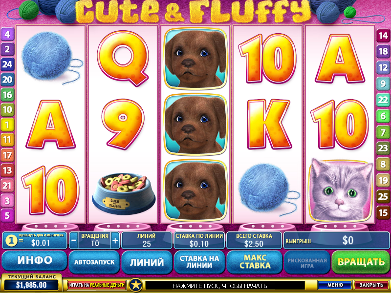 Cute and Fluffy (Милые и пушистые) из раздела Игровые автоматы