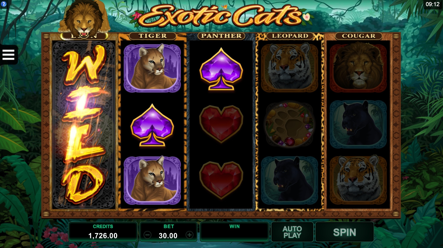 Exotic Cats (Экзотические кошки) из раздела Игровые автоматы