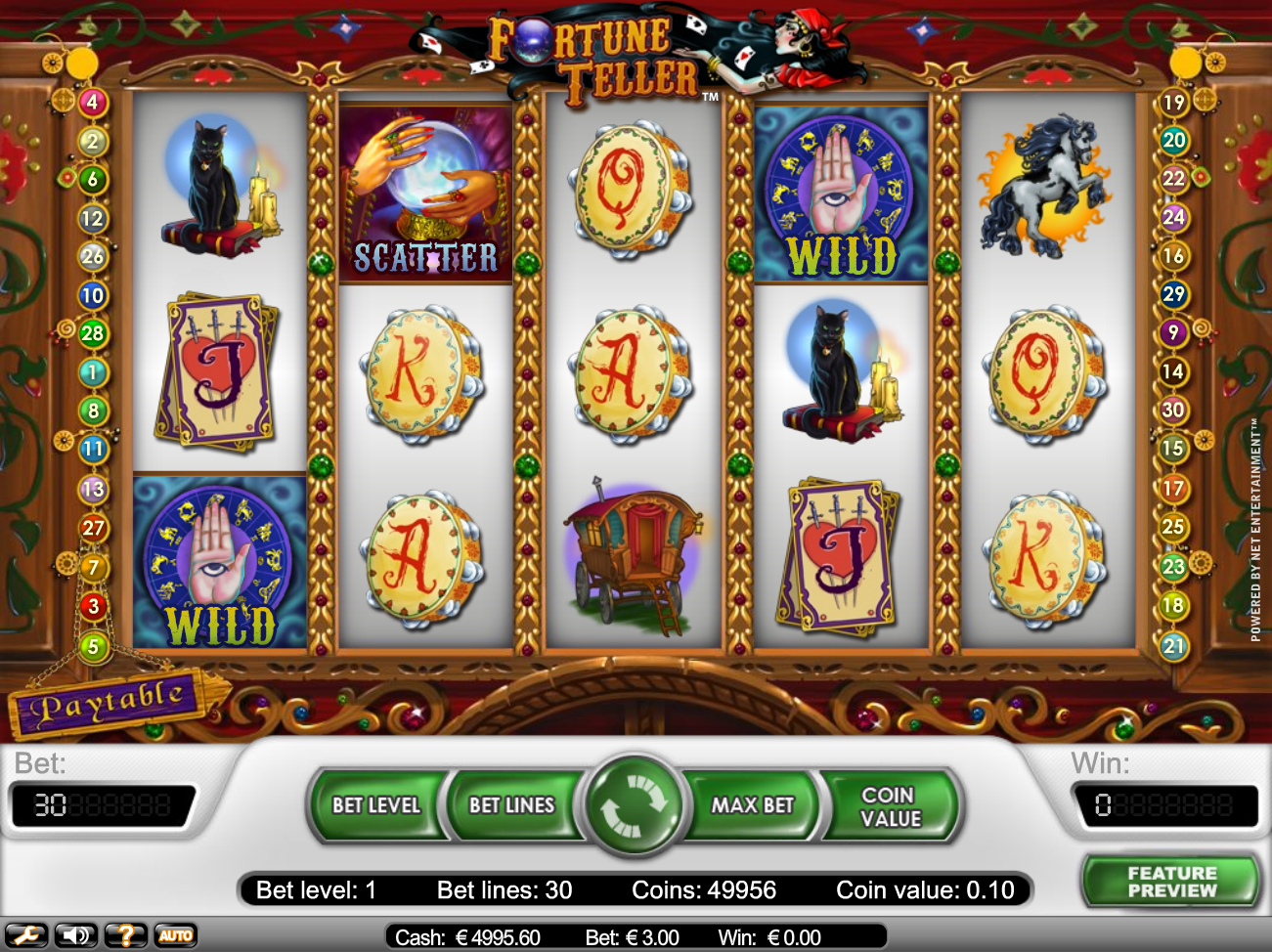 Fortune Teller (Предсказательница) из раздела Игровые автоматы
