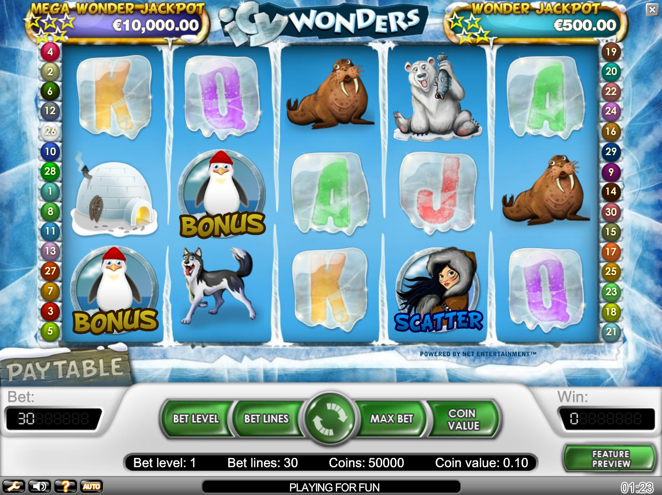 Icy Wonders (Ледяные чудеса) из раздела Игровые автоматы