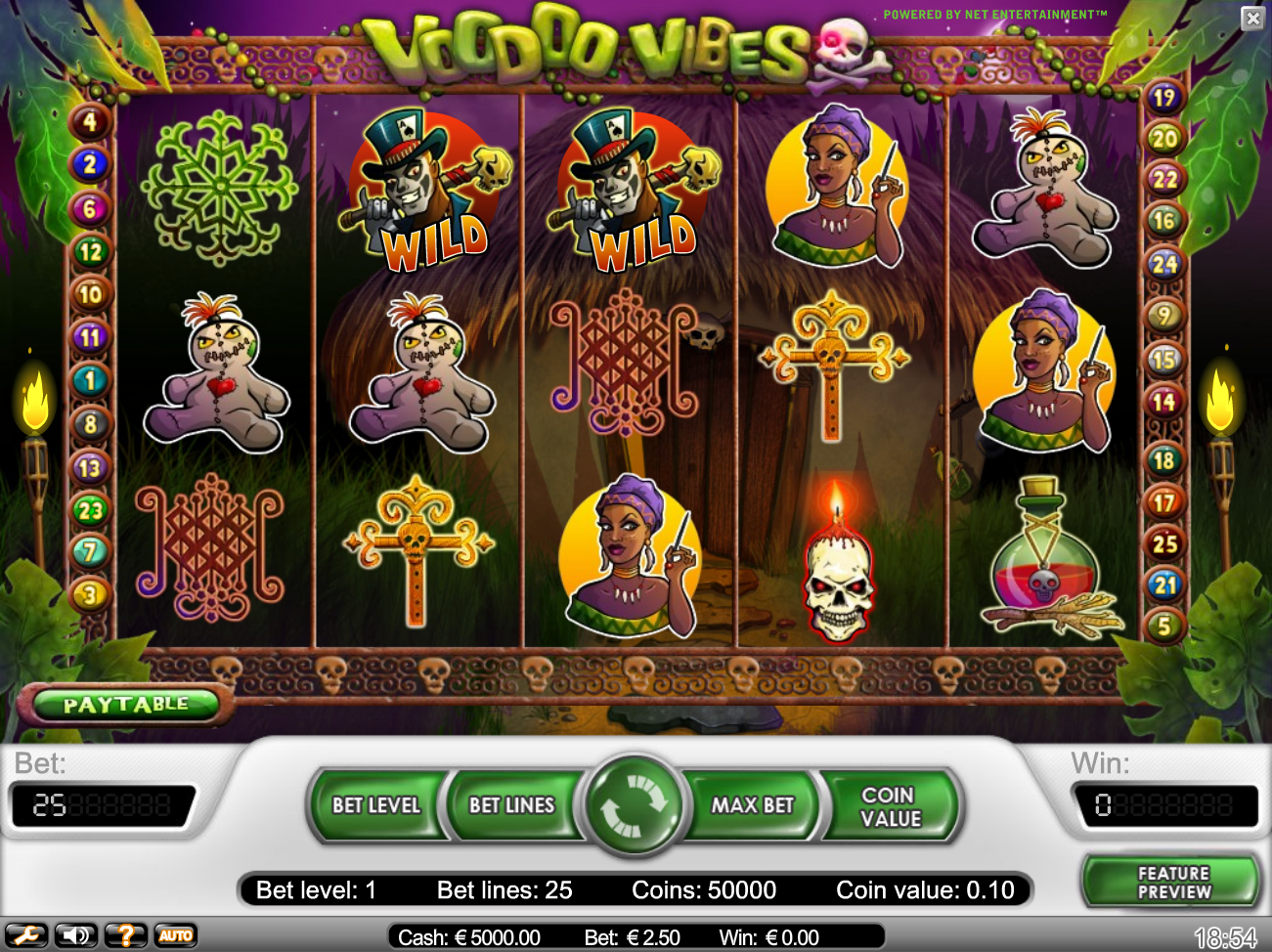 Voodoo Vibes (Пороки Вуду) из раздела Игровые автоматы